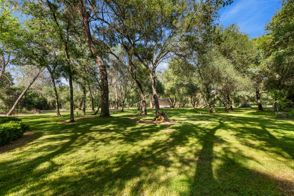 Oakridge Drive, Loomis, California image 41