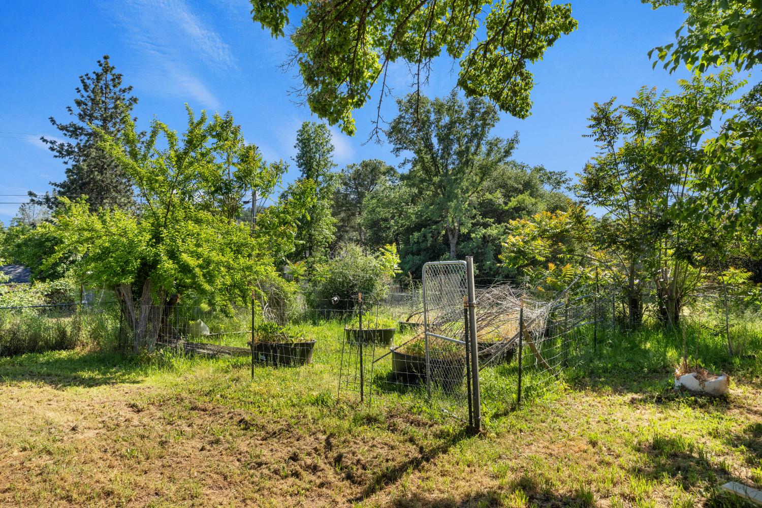 Forni Road, Placerville, California image 45