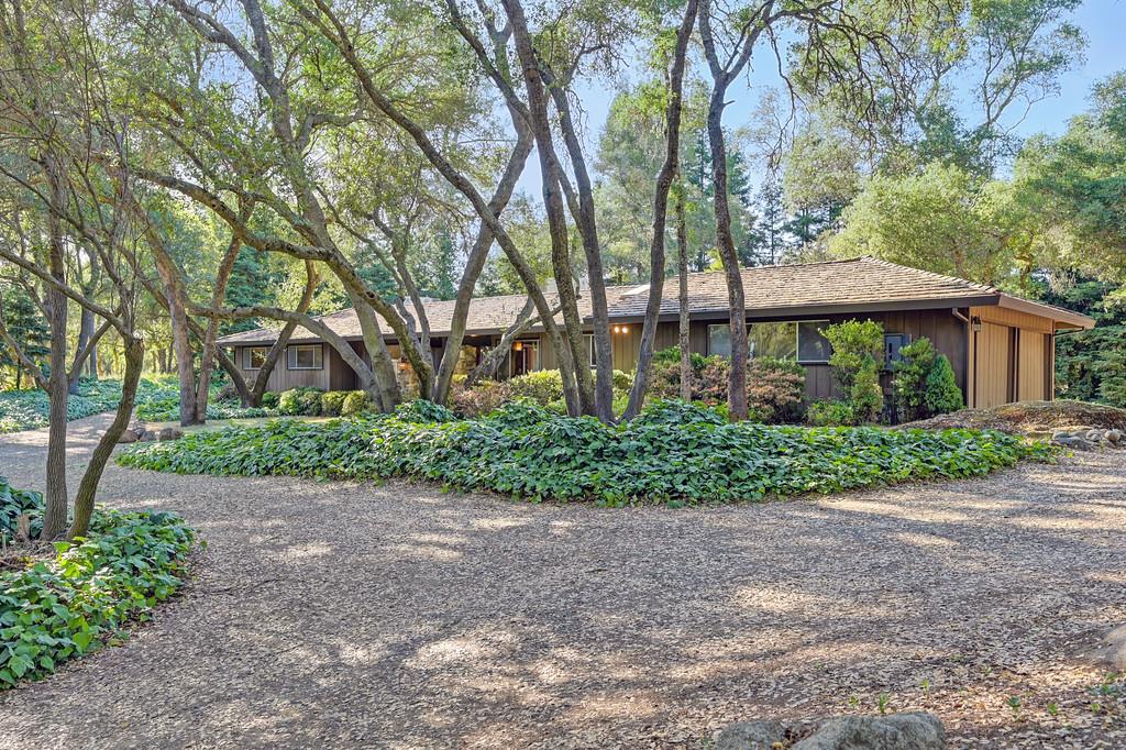 Shady Creek Lane, Granite Bay, California image 48