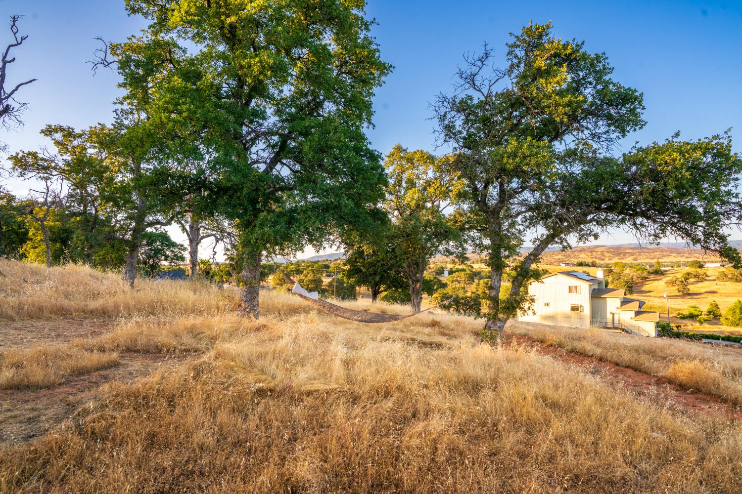 Rastro Way, La Grange, California image 30