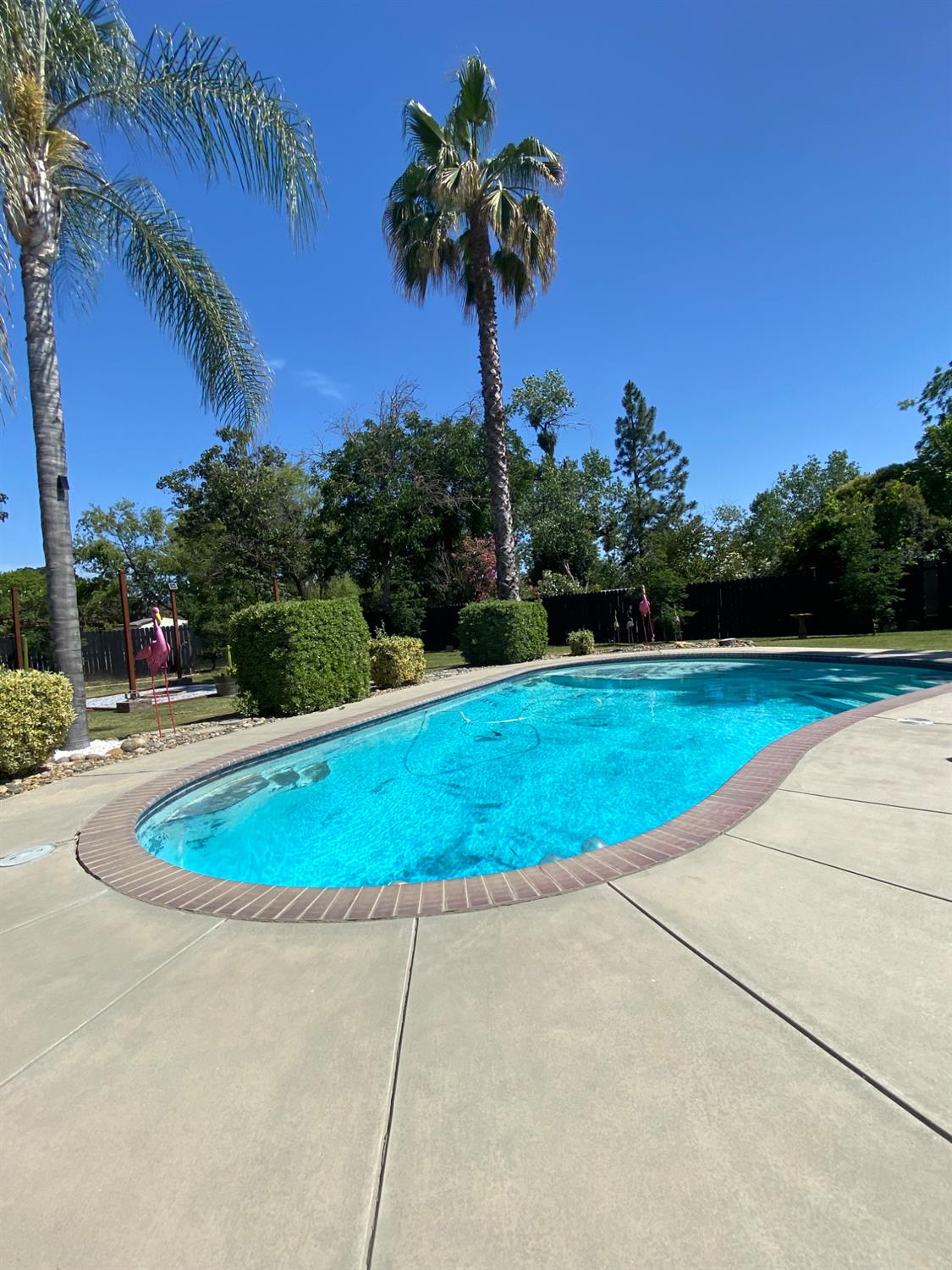 N Parsons Avenue, Merced, California image 8