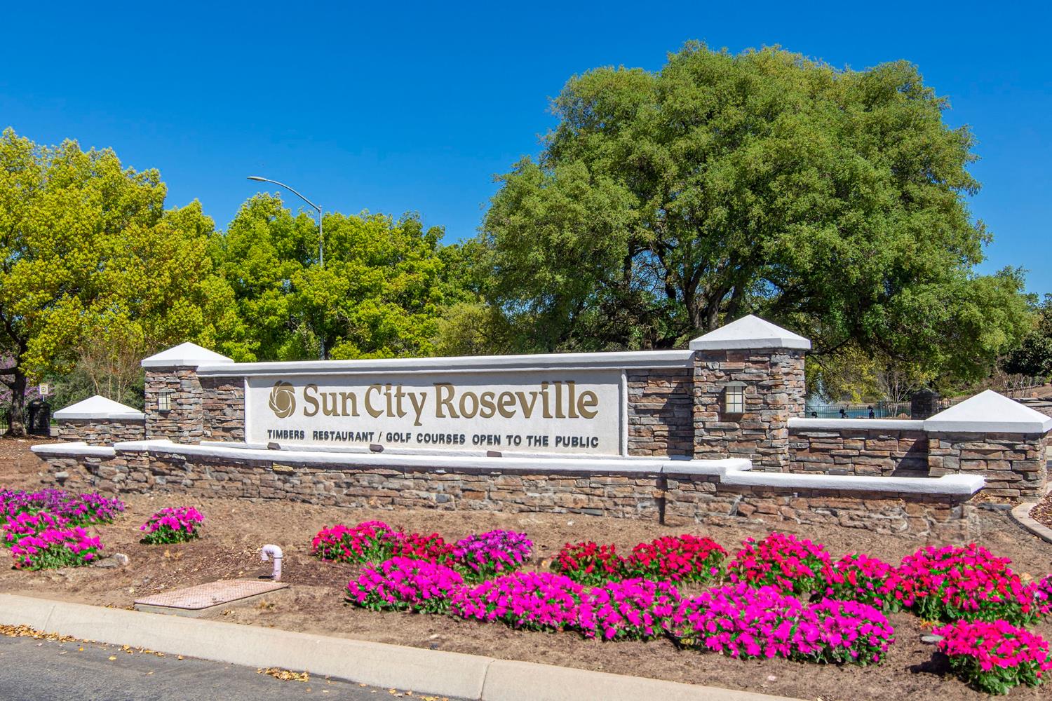 Firefly Green, Roseville, California image 26