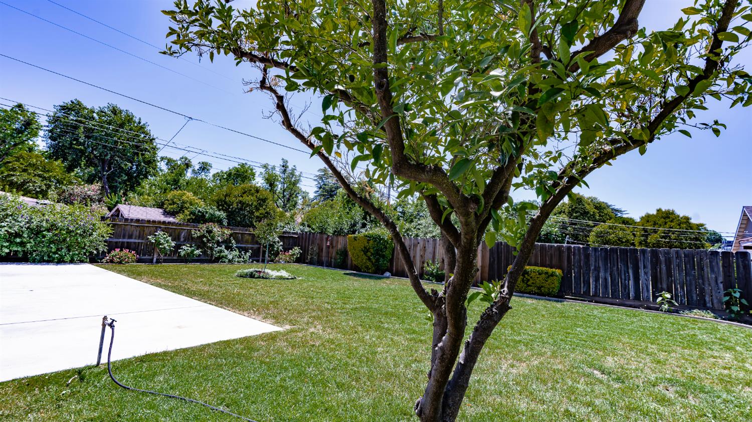 Ramona Avenue, Modesto, California image 18