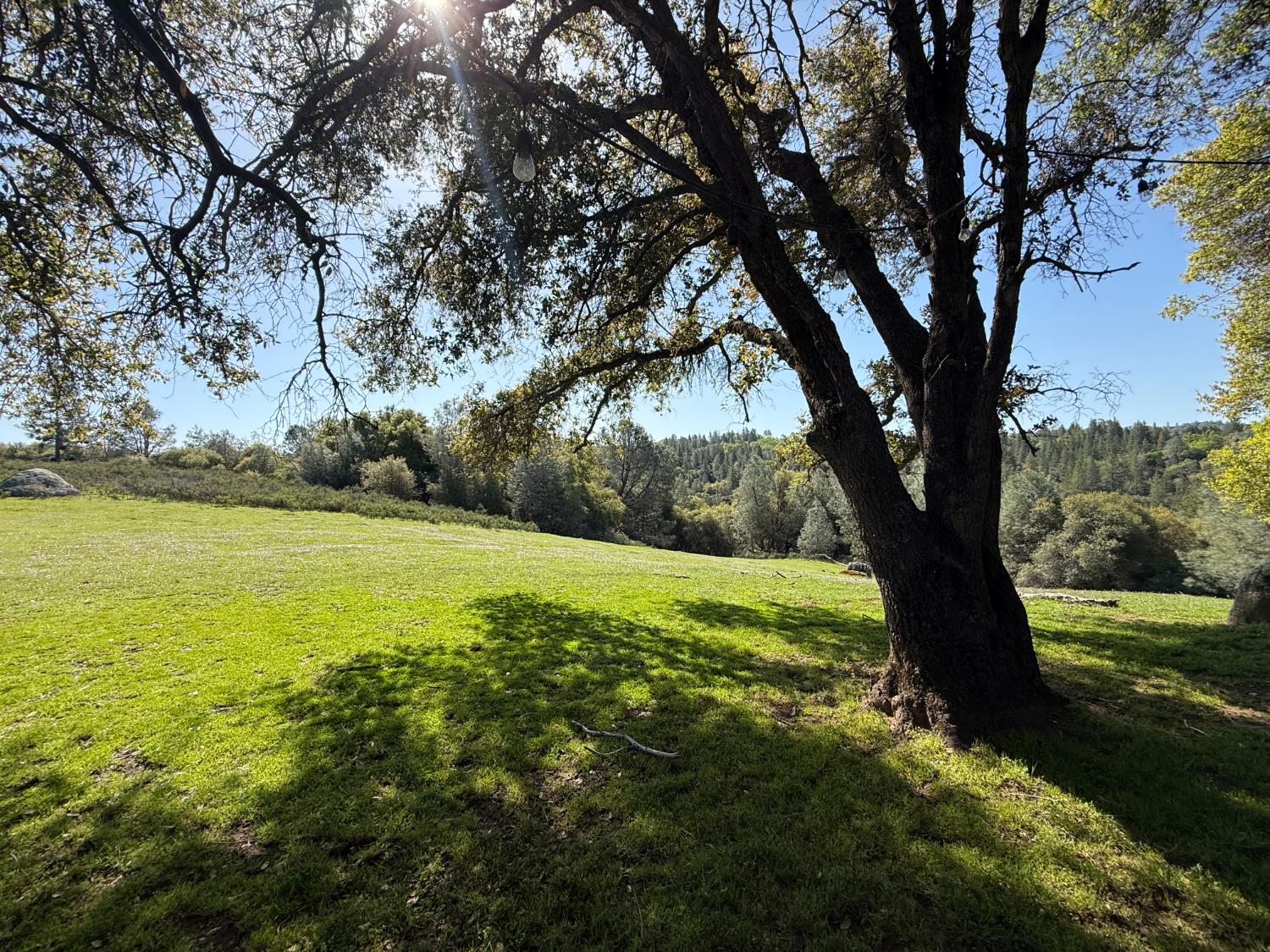 Fairplay Road, Somerset, California image 6