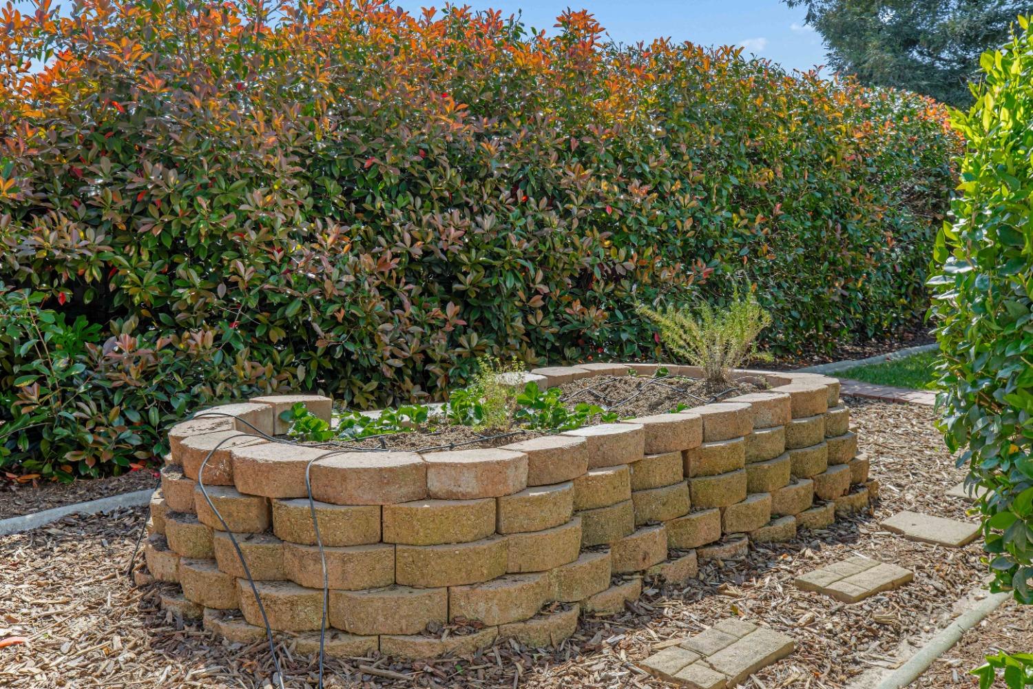 Joerg Avenue, Merced, California image 48