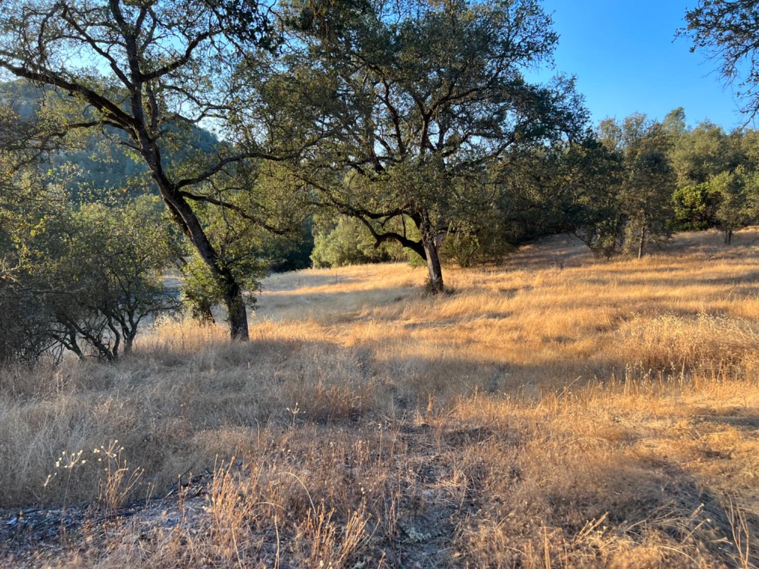 Highway 49, Mokelumne Hill, California image 4