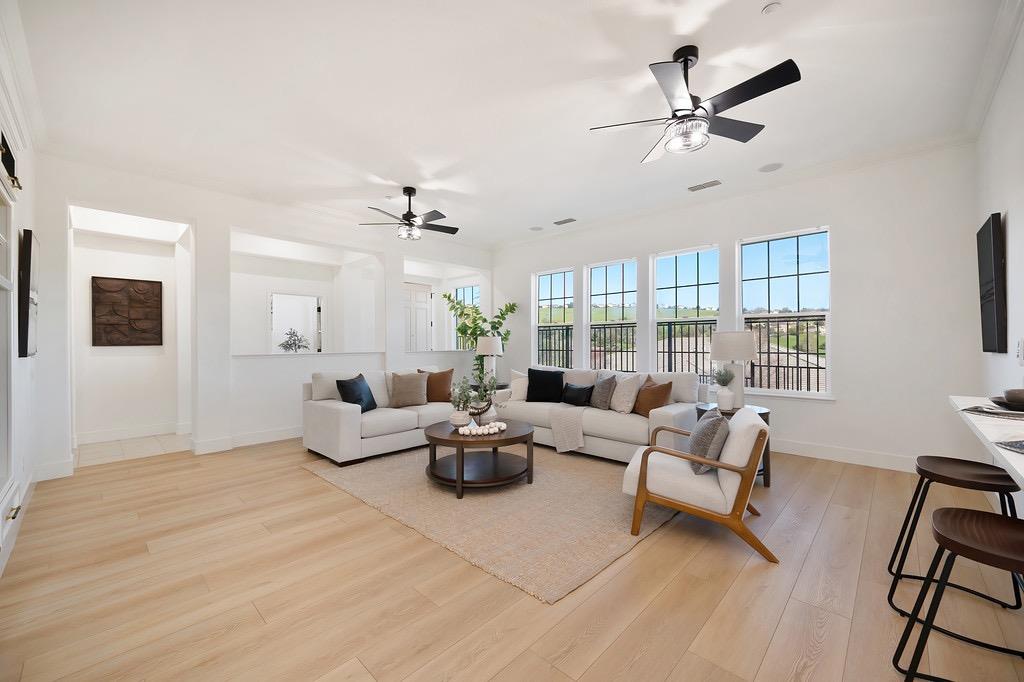 Park Drive, El Dorado Hills, California image 10