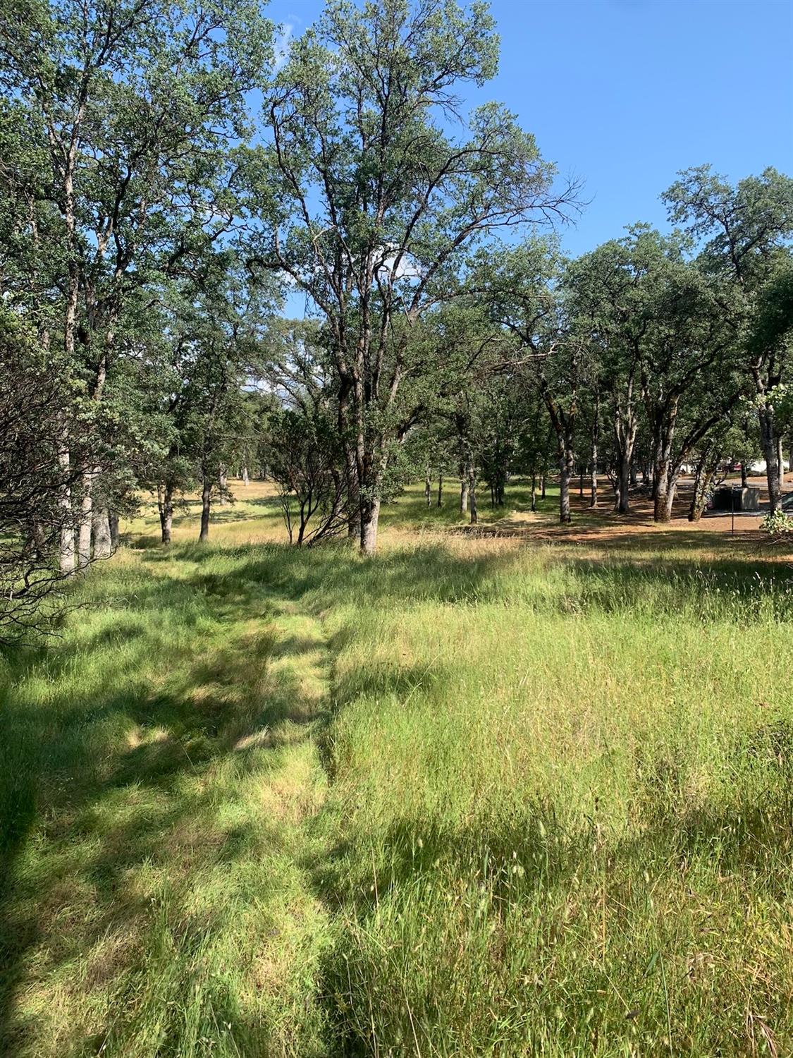 Kelso Court, Auburn, California image 24