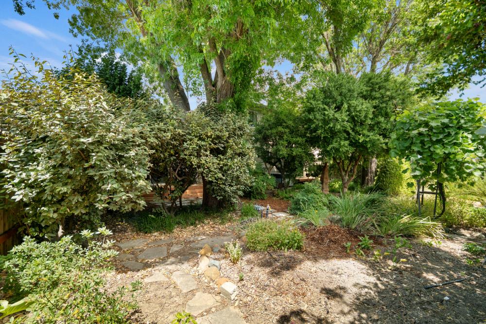 Boxwood Road, Woodland, California image 45