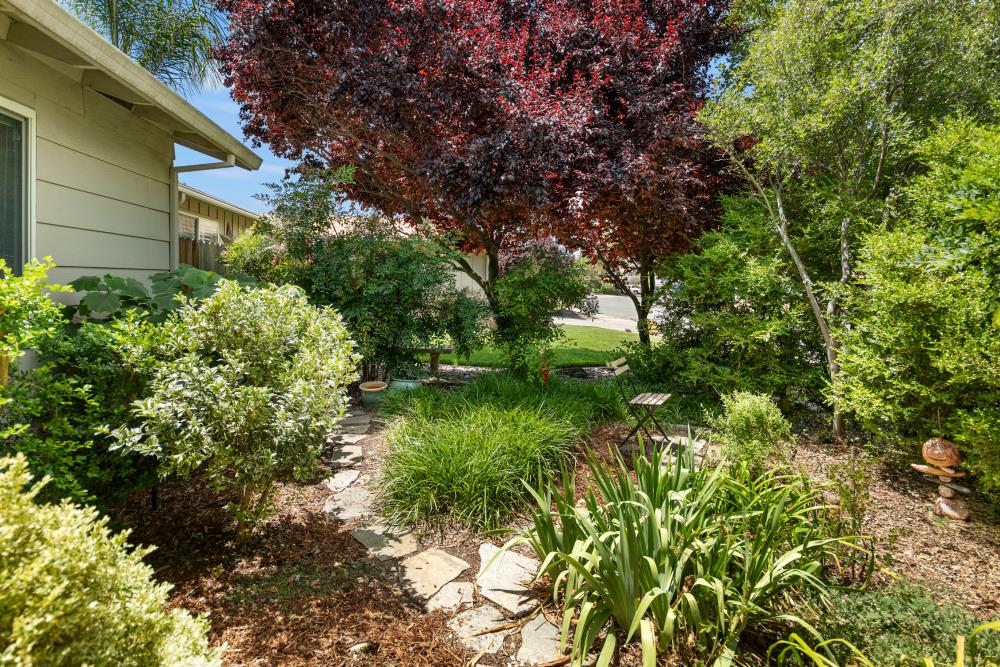 Boxwood Road, Woodland, California image 6