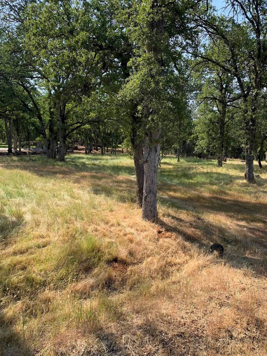 Kelso Court, Auburn, California image 29