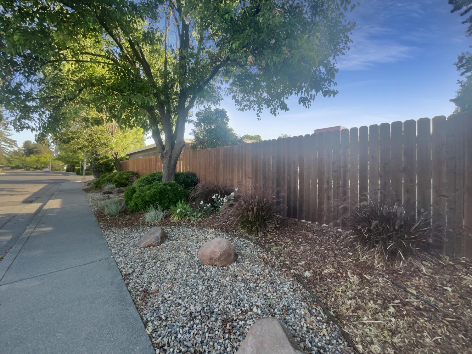 Grande Avenue, Davis, California image 11