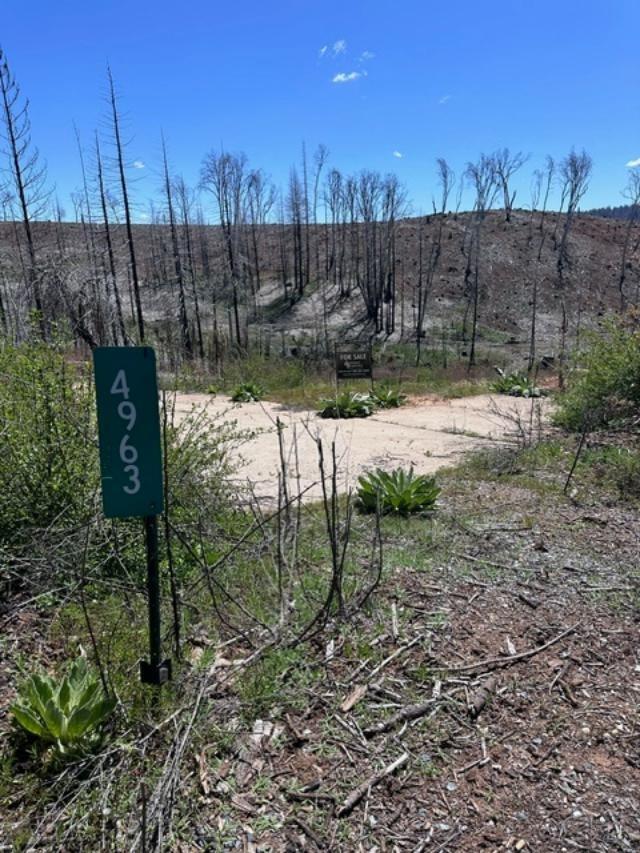 Deertrack Court, Grizzly Flats, California image 4