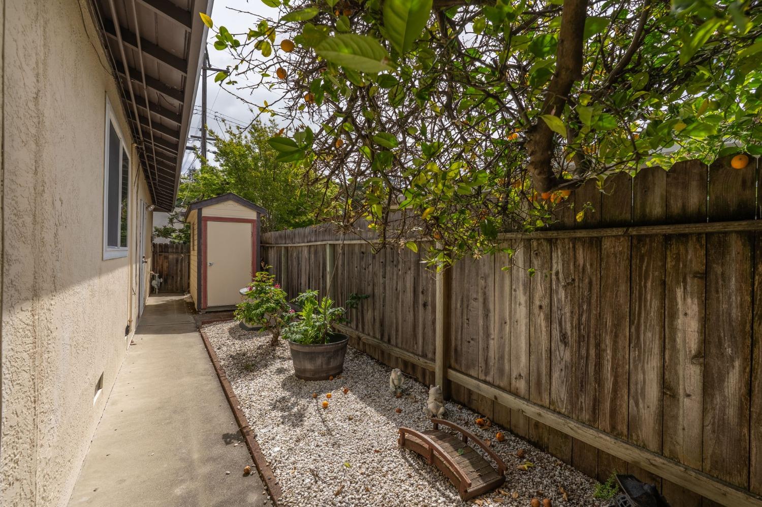 Beacon Hill Drive, Castro Valley, California image 24