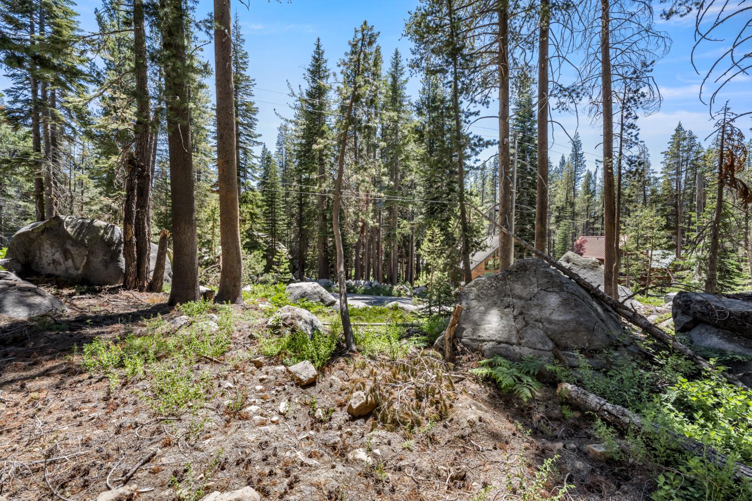 Lotta Crabtree Terrace, Soda Springs, California image 4