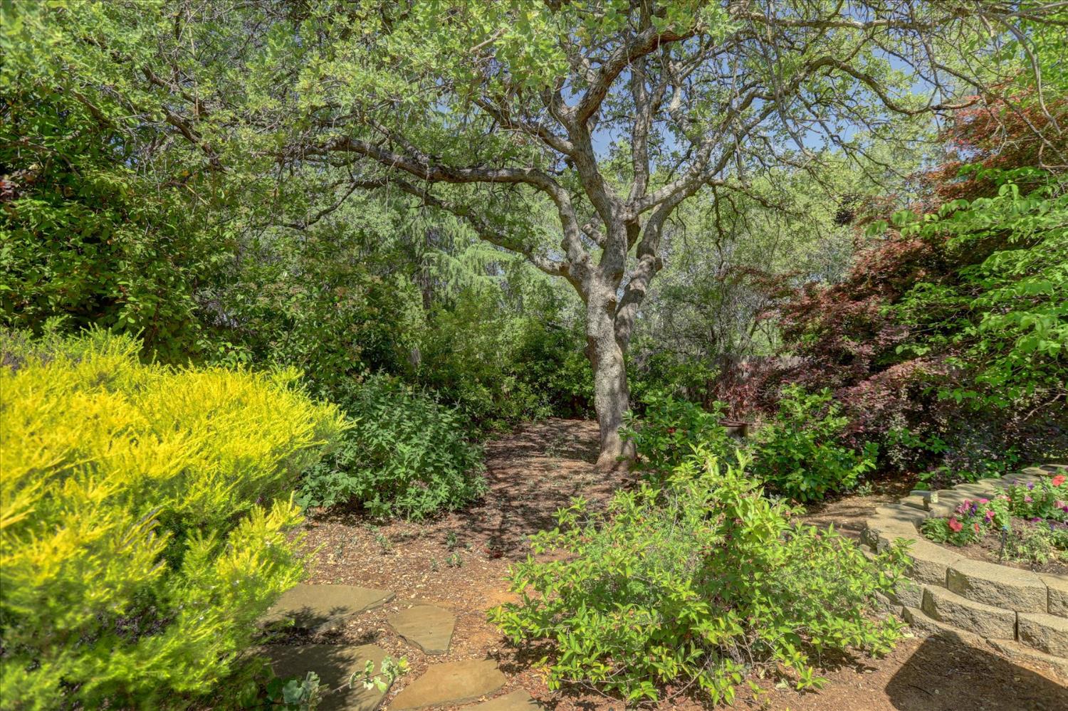 Erin Drive, Auburn, California image 33