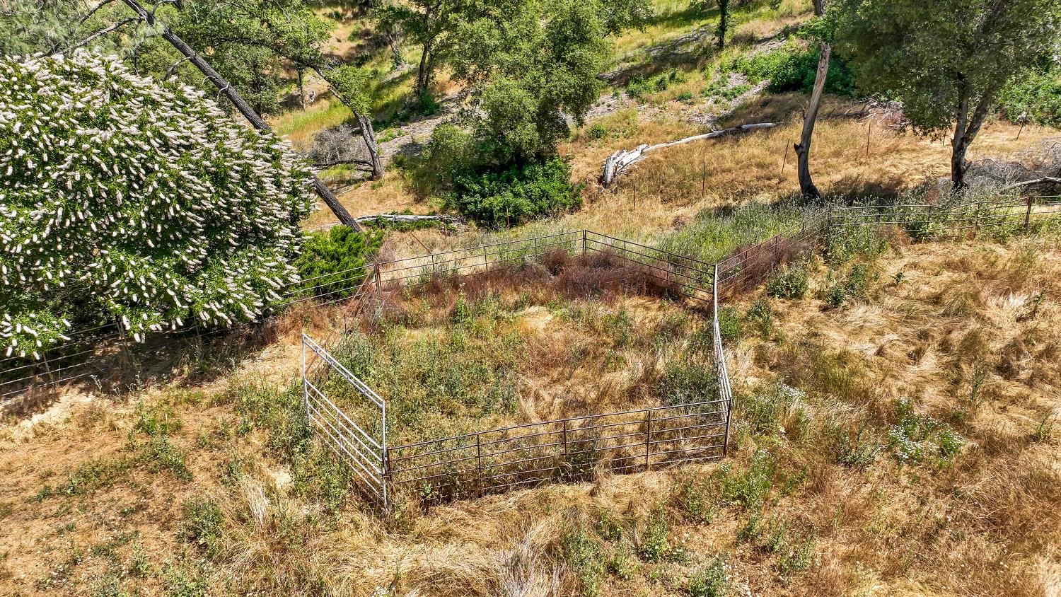Detail Gallery Image 82 of 93 For 9574 Highway 49, Mokelumne Hill,  CA 95245 - 4 Beds | 2/1 Baths