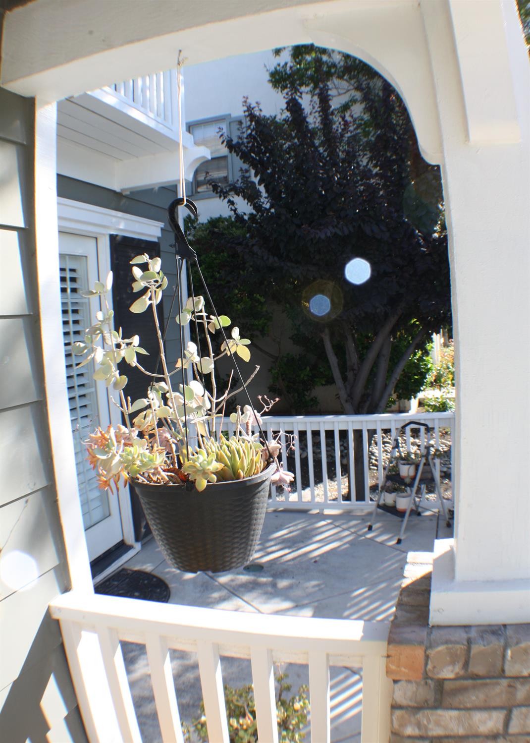 Daisy Lane, Tracy, California image 5