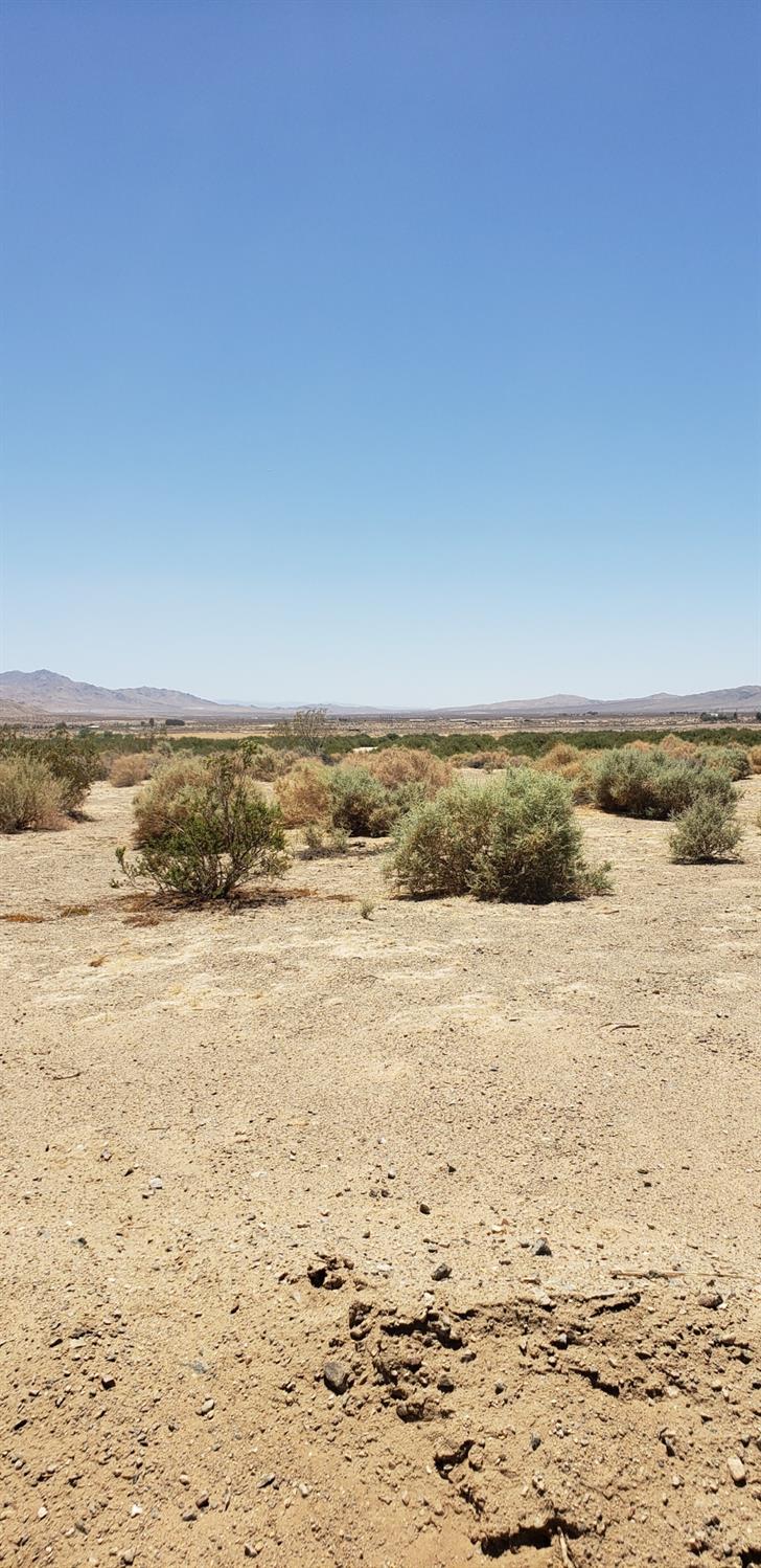 Wheeler Road, Helendale, California image 2