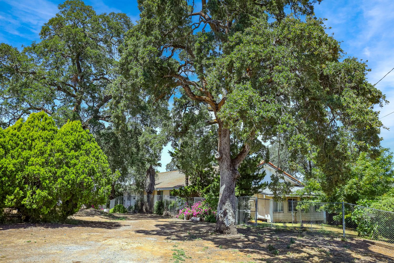 Detail Gallery Image 76 of 93 For 9574 Highway 49, Mokelumne Hill,  CA 95245 - 4 Beds | 2/1 Baths
