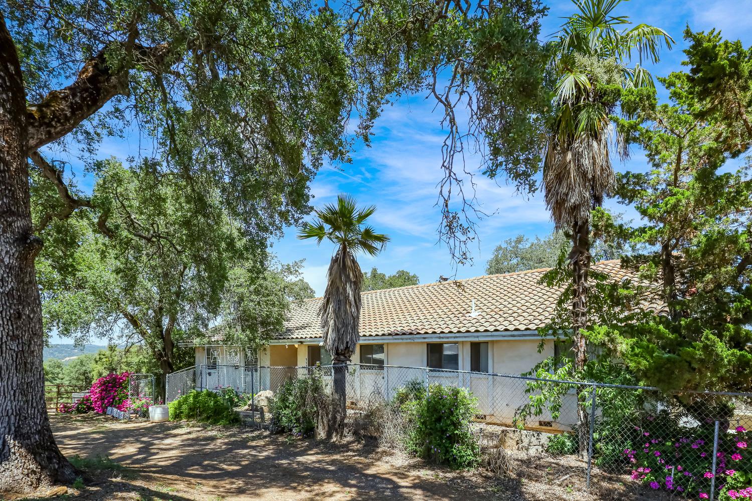 Detail Gallery Image 85 of 93 For 9574 Highway 49, Mokelumne Hill,  CA 95245 - 4 Beds | 2/1 Baths