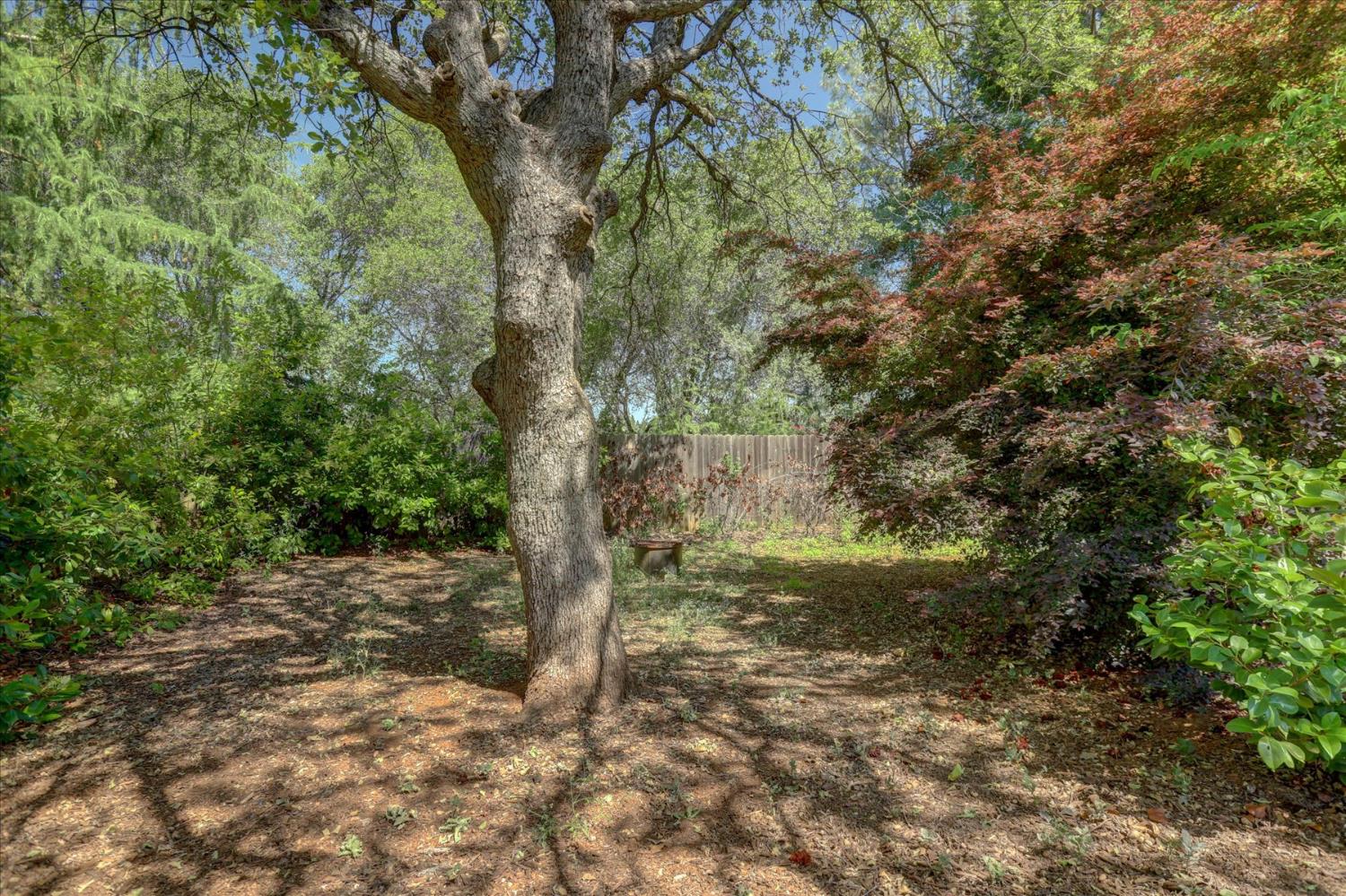 Erin Drive, Auburn, California image 34