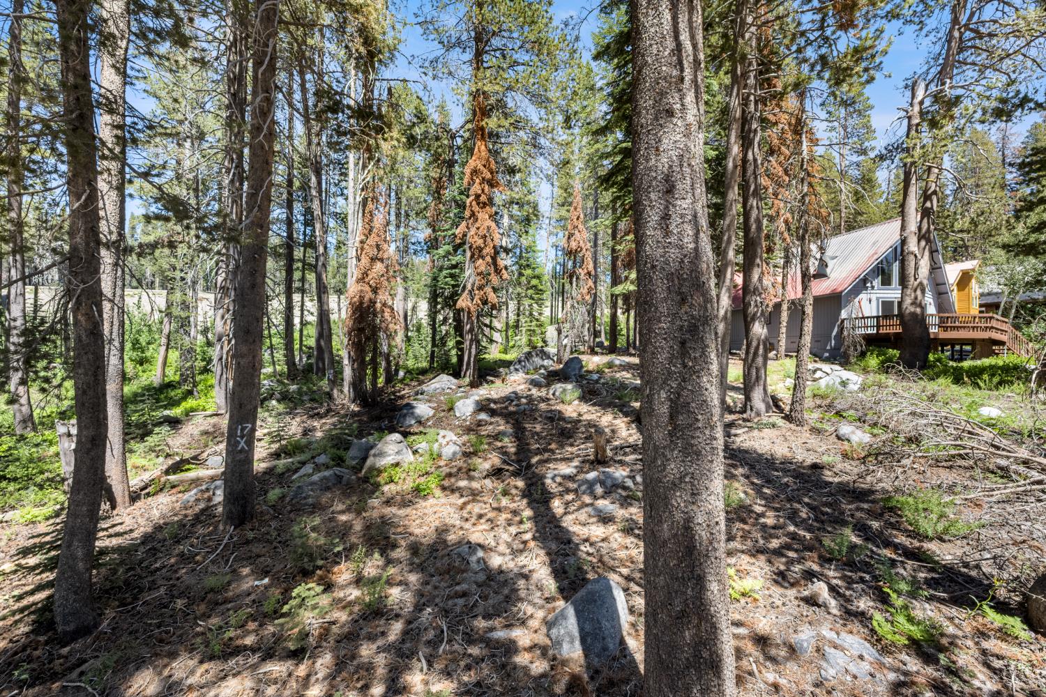 Lotta Crabtree Terrace, Soda Springs, California image 3