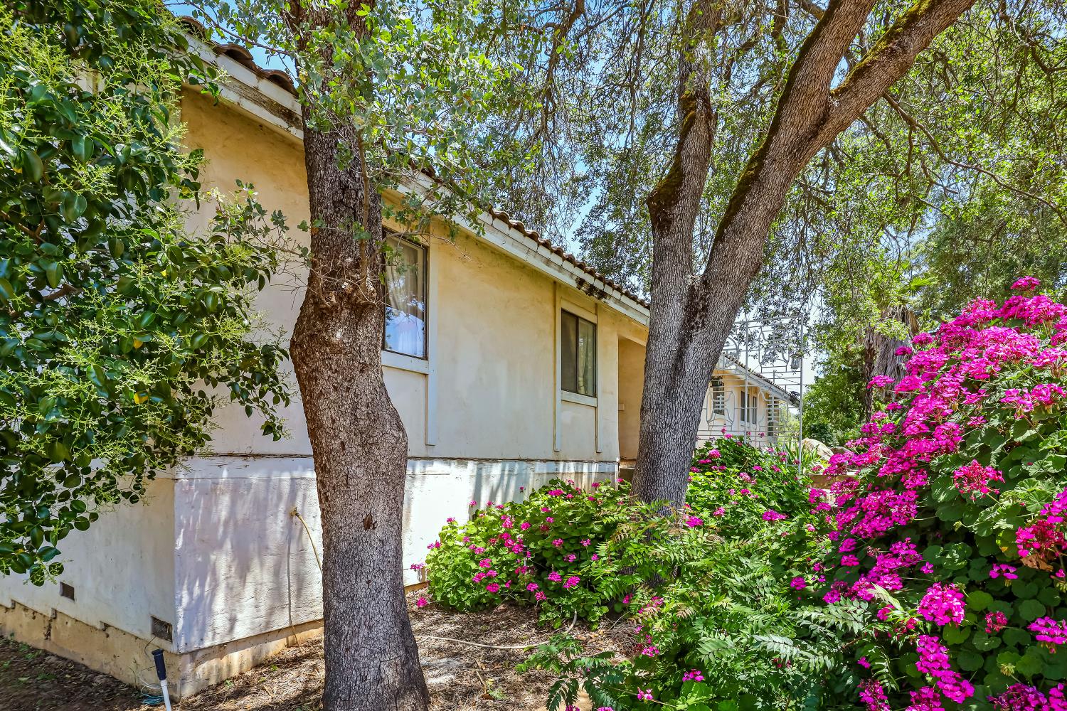 Detail Gallery Image 88 of 93 For 9574 Highway 49, Mokelumne Hill,  CA 95245 - 4 Beds | 2/1 Baths