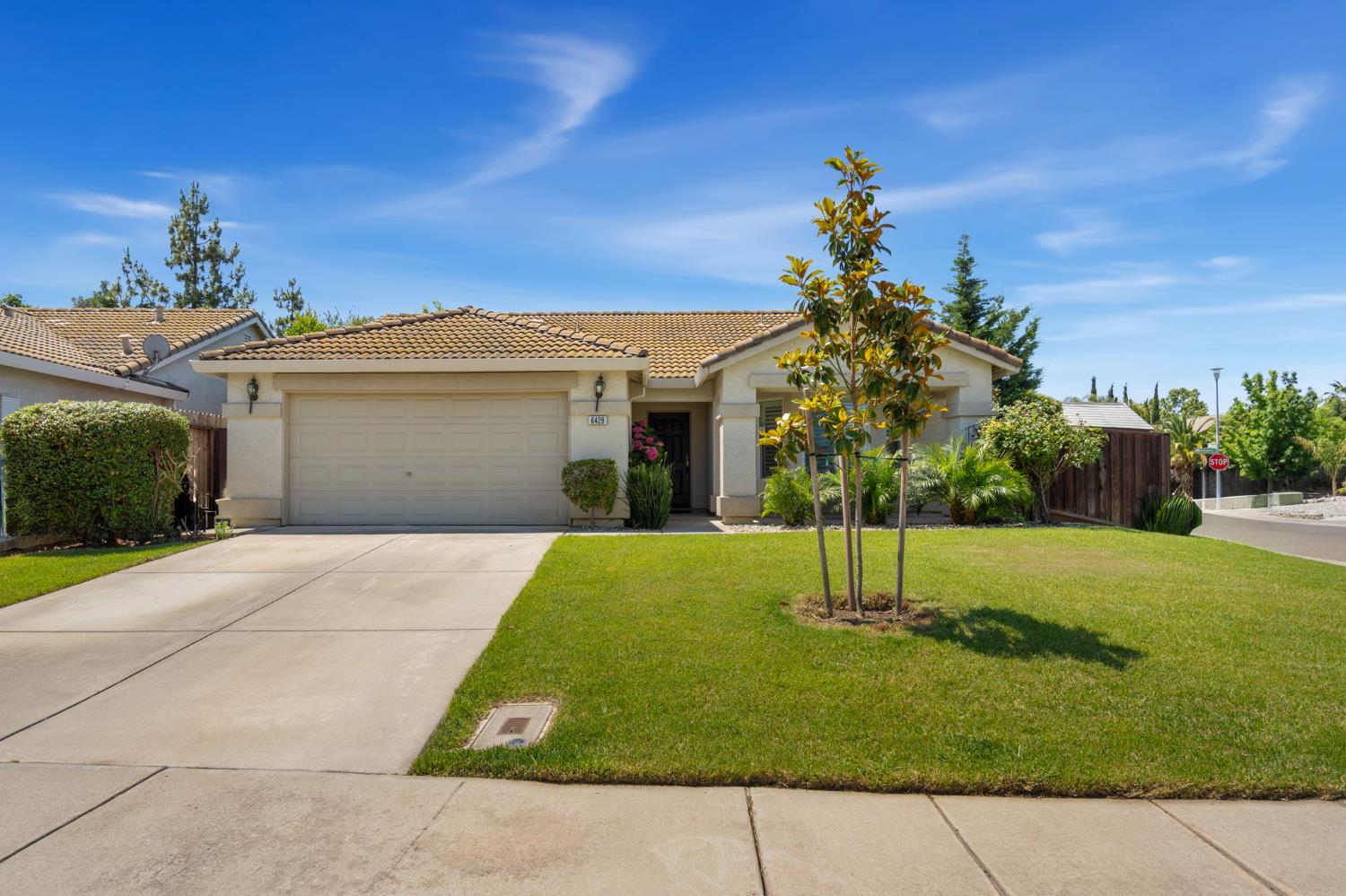 Livorno Way, Elk Grove, California image 1