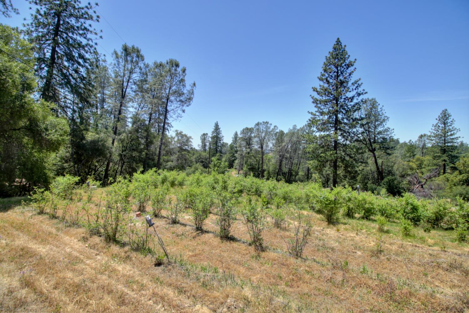 Rocky Ridge Road, Placerville, California image 40