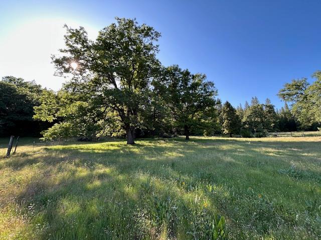Ridge Rd, North San Juan, California image 19