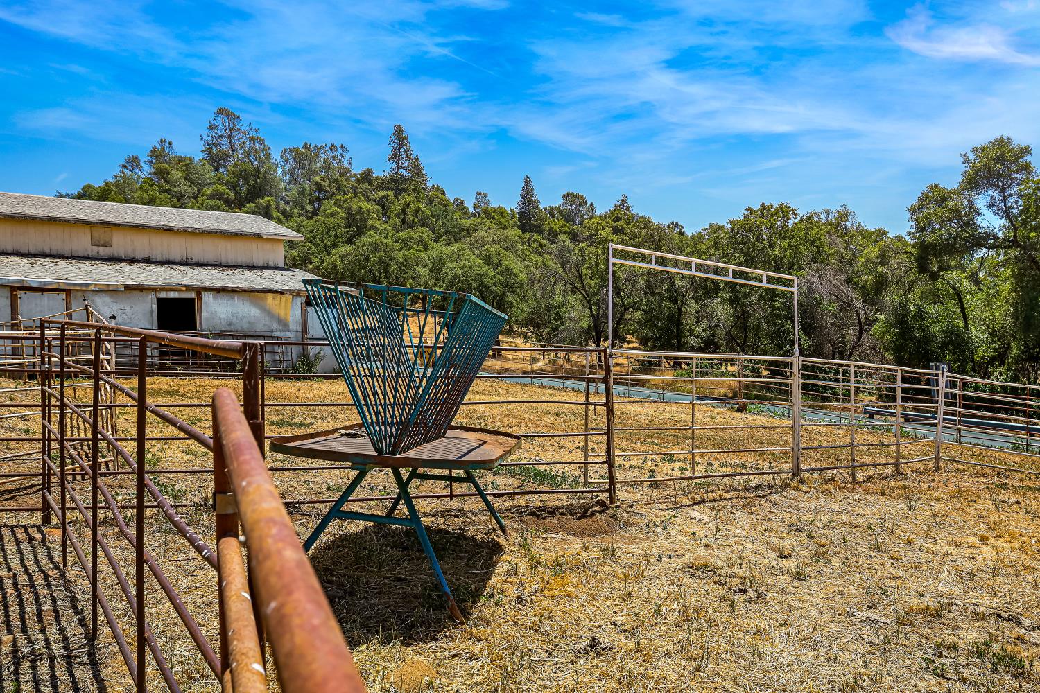 Detail Gallery Image 59 of 93 For 9574 Highway 49, Mokelumne Hill,  CA 95245 - 4 Beds | 2/1 Baths