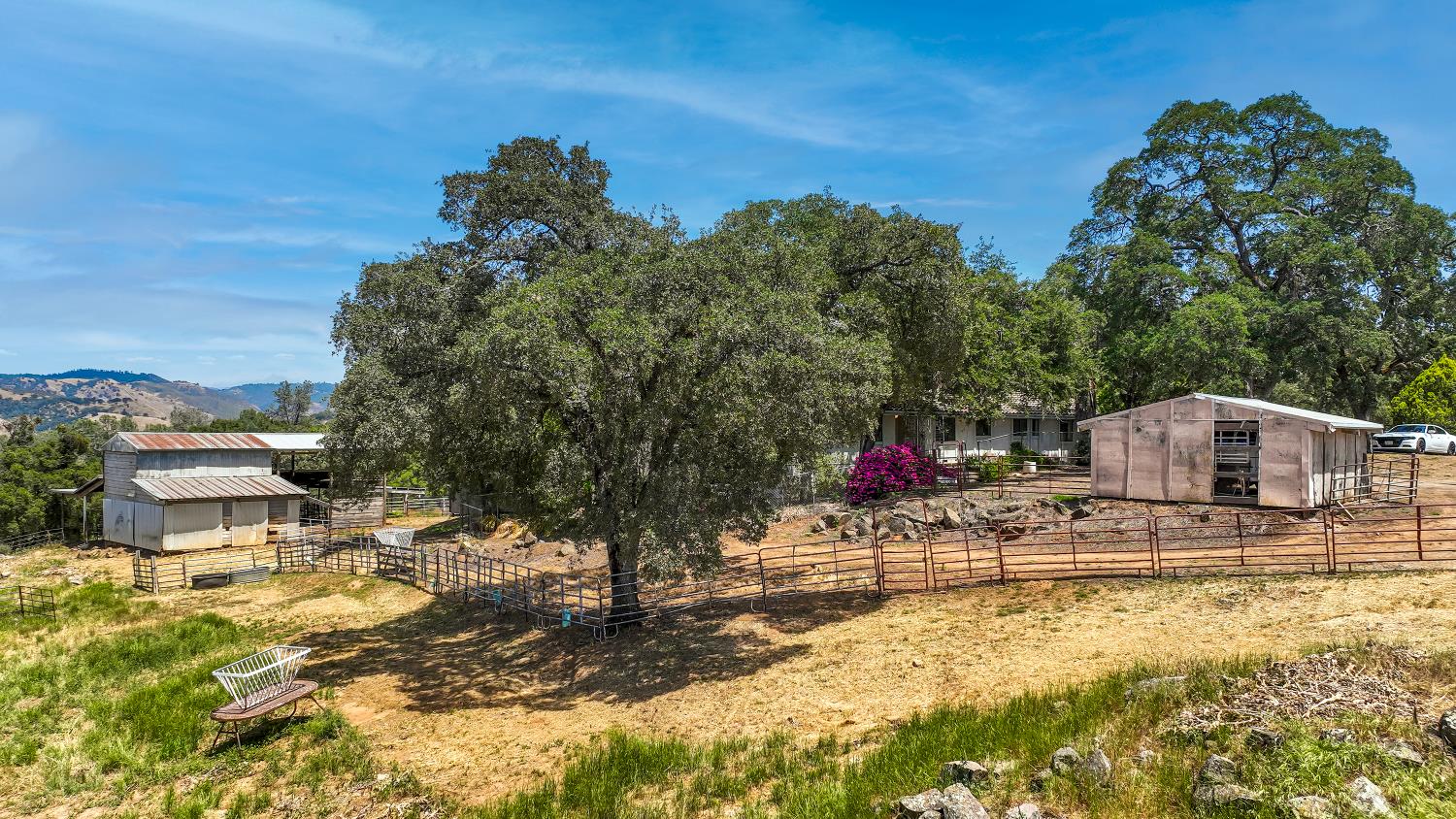 Detail Gallery Image 9 of 93 For 9574 Highway 49, Mokelumne Hill,  CA 95245 - 4 Beds | 2/1 Baths