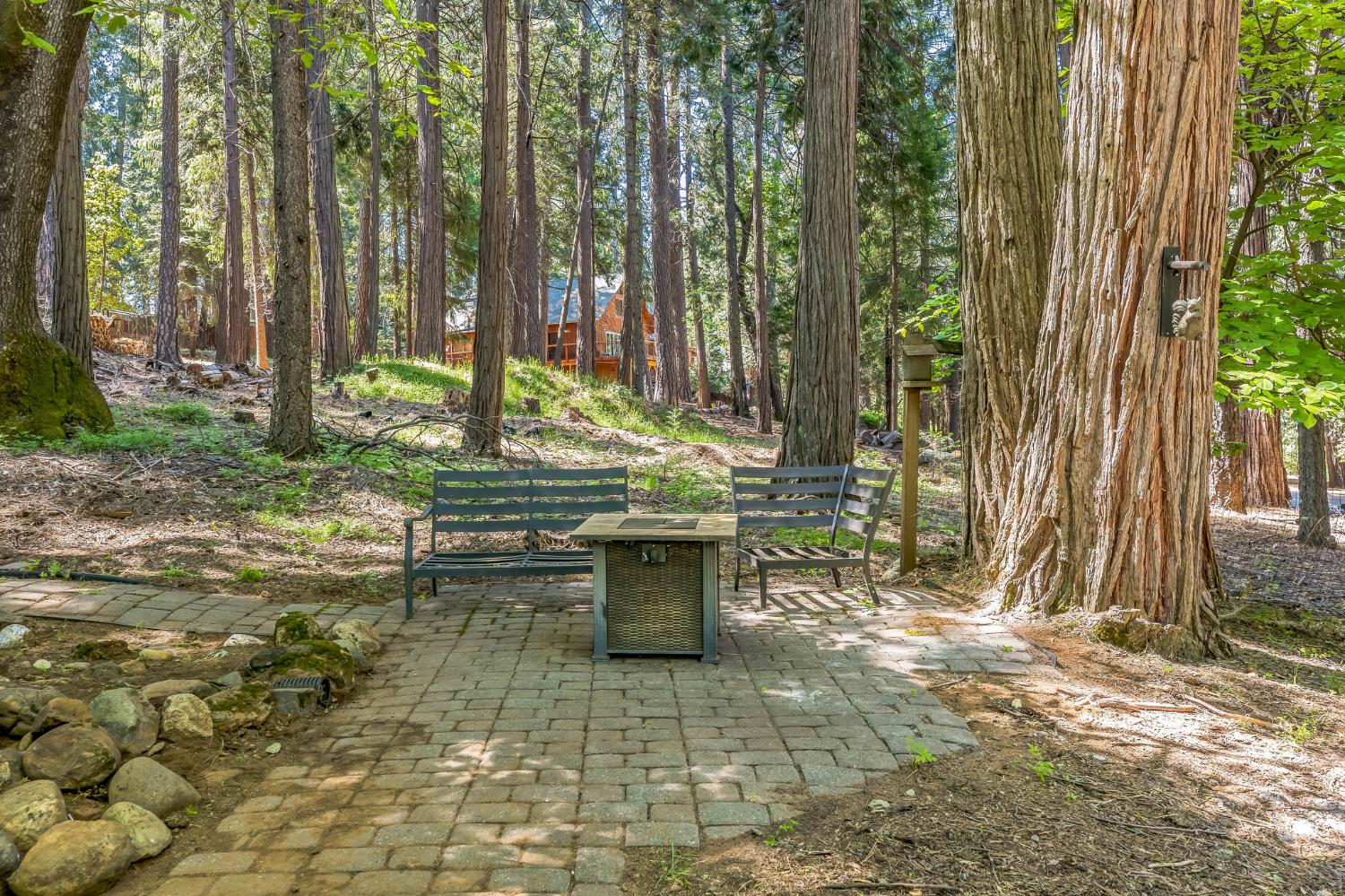 Golden Street, Pollock Pines, California image 27