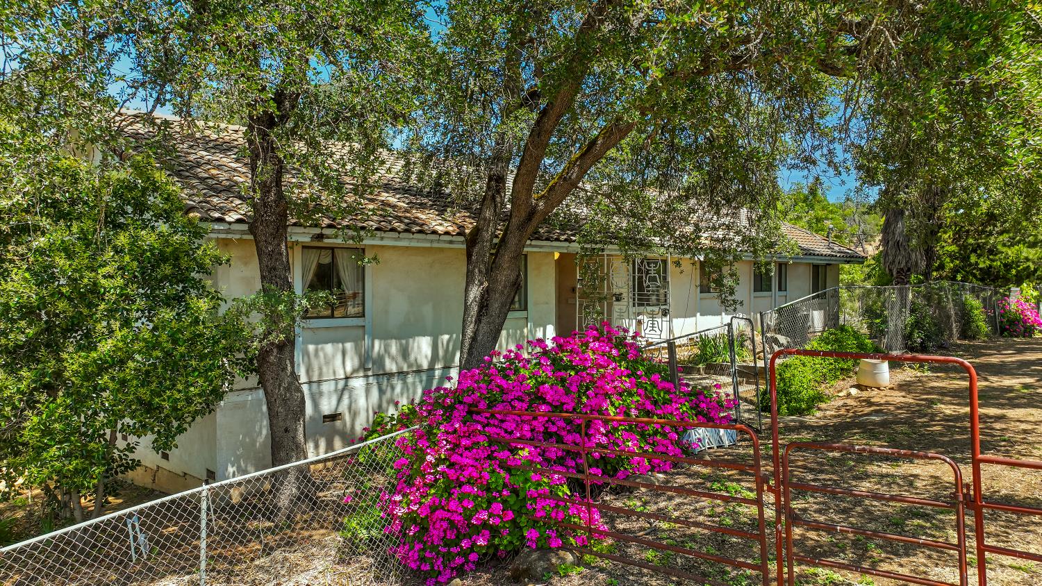 Detail Gallery Image 81 of 93 For 9574 Highway 49, Mokelumne Hill,  CA 95245 - 4 Beds | 2/1 Baths