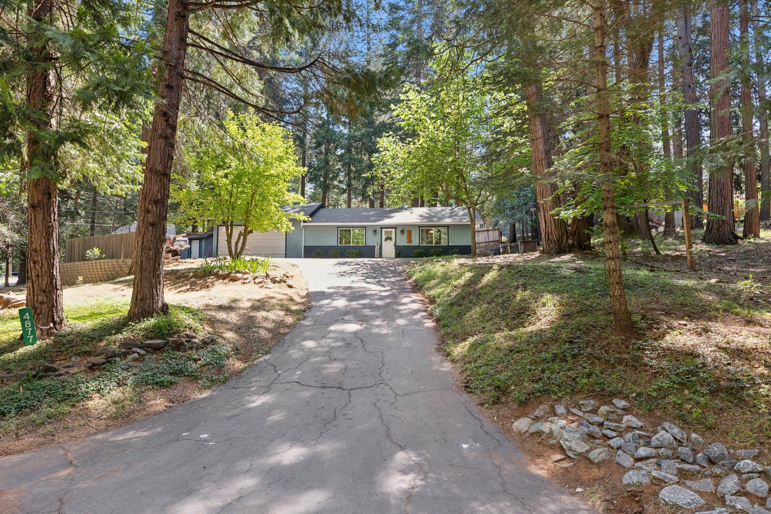 Golden Street, Pollock Pines, California image 5