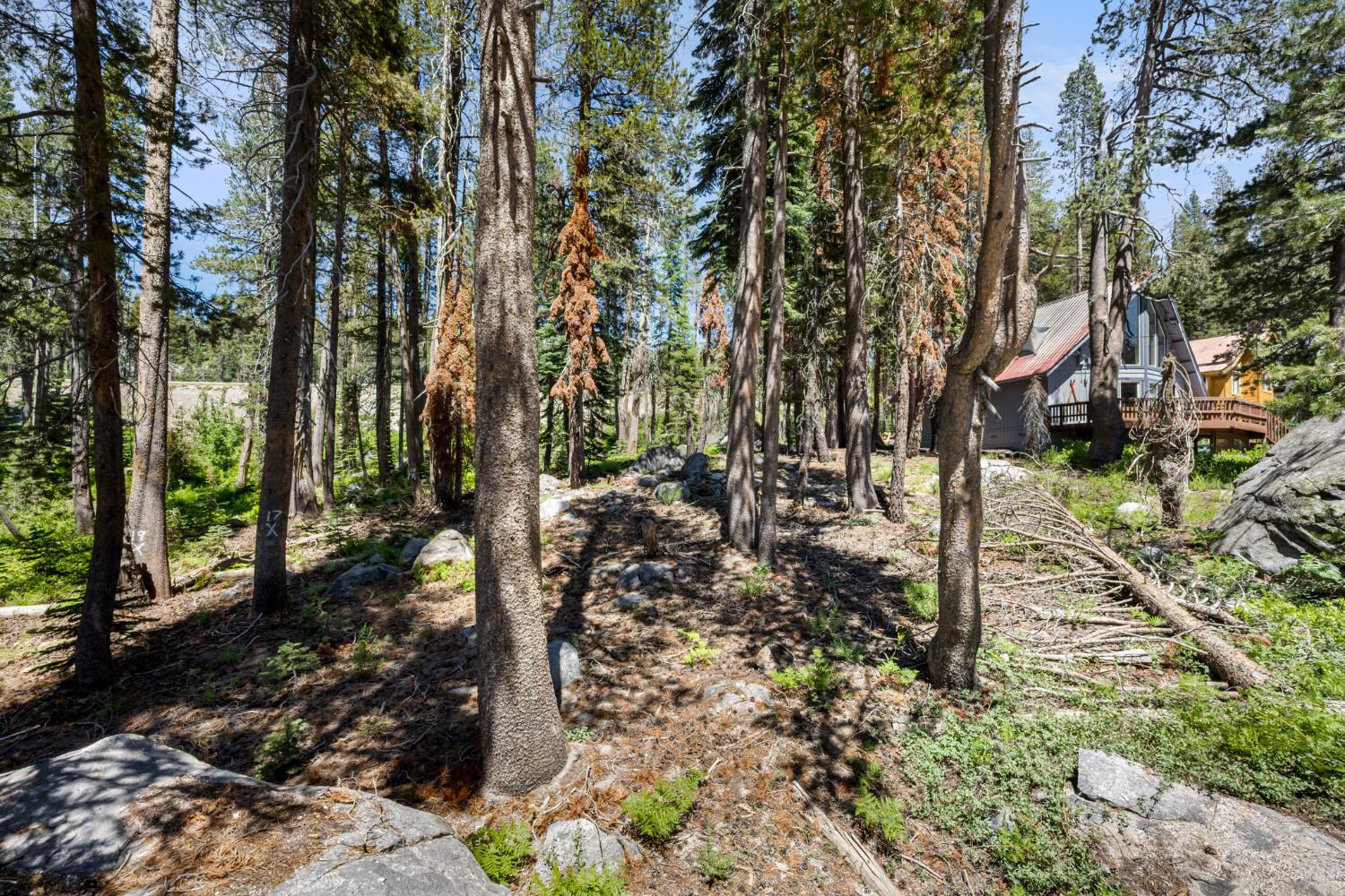 Lotta Crabtree Terrace, Soda Springs, California image 2