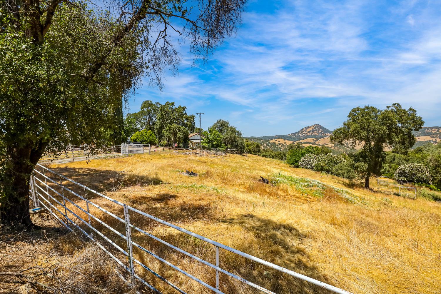 Detail Gallery Image 72 of 93 For 9574 Highway 49, Mokelumne Hill,  CA 95245 - 4 Beds | 2/1 Baths