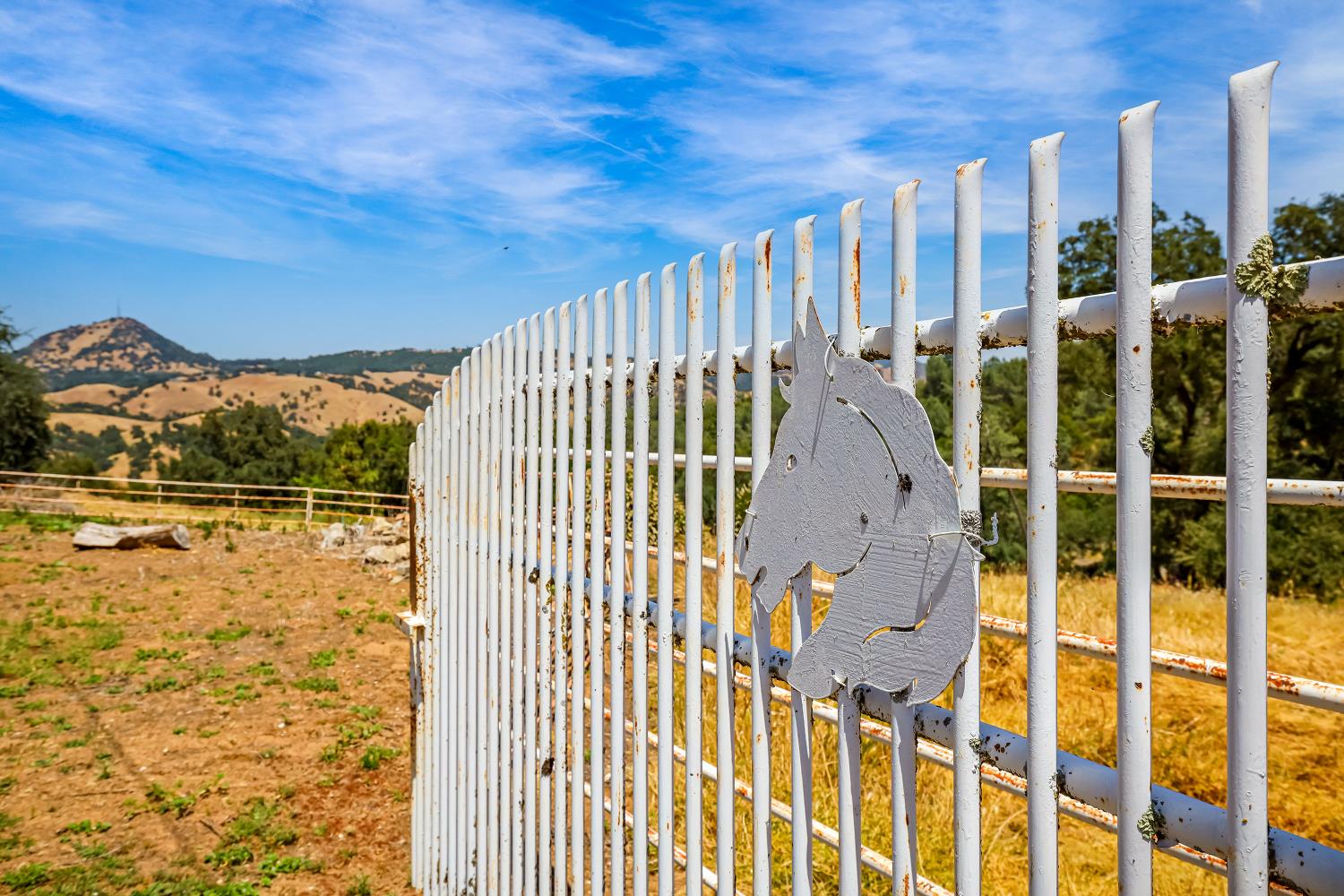 Detail Gallery Image 75 of 93 For 9574 Highway 49, Mokelumne Hill,  CA 95245 - 4 Beds | 2/1 Baths