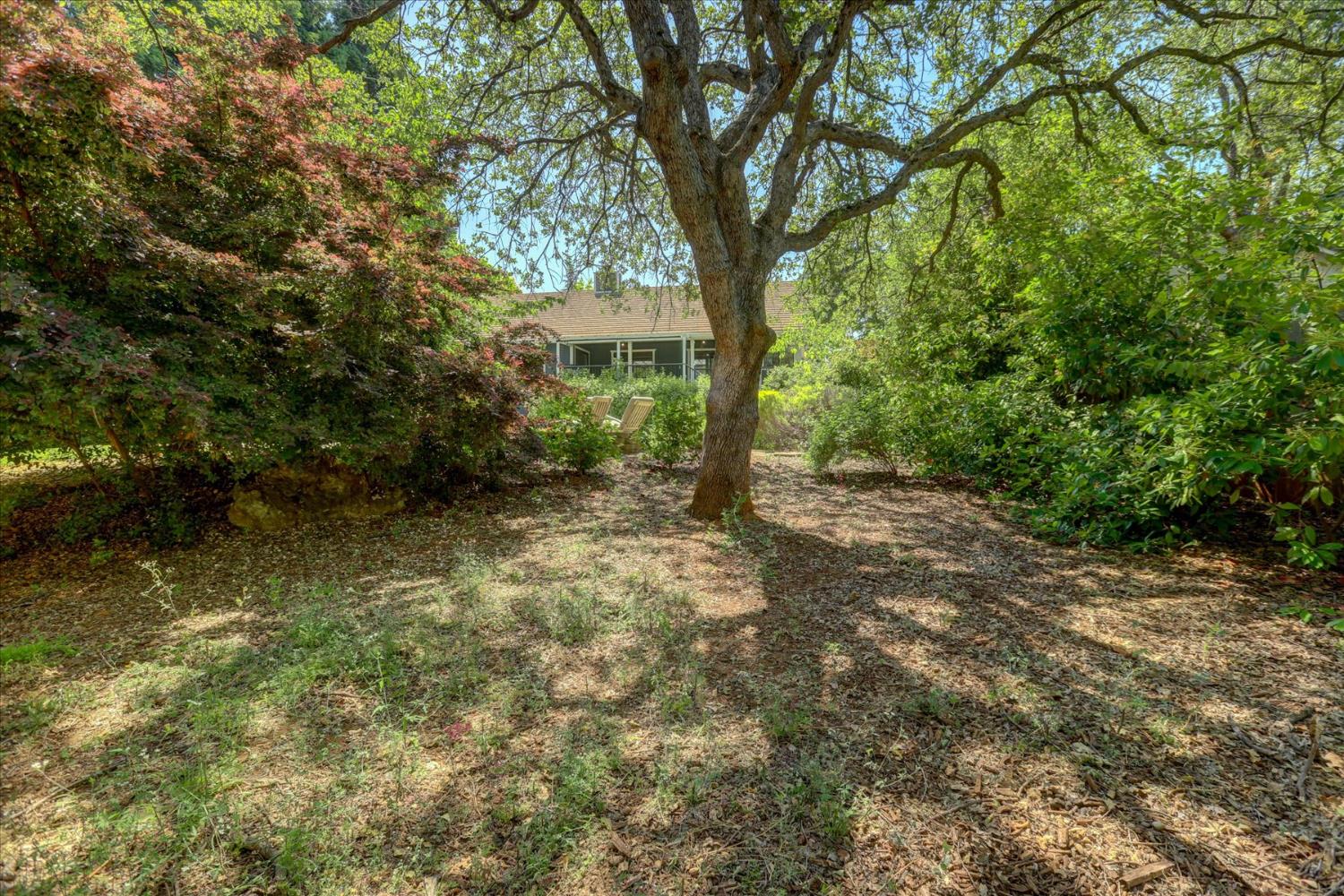 Erin Drive, Auburn, California image 35