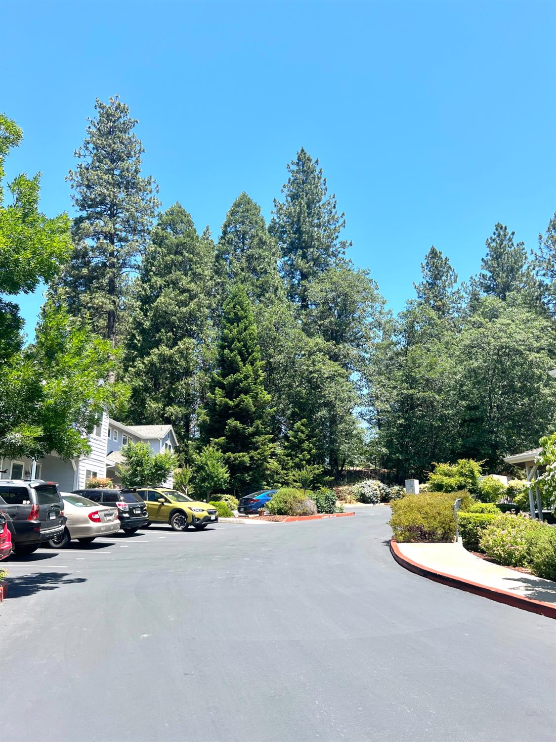 Ironhorse Place, Grass Valley, California image 17