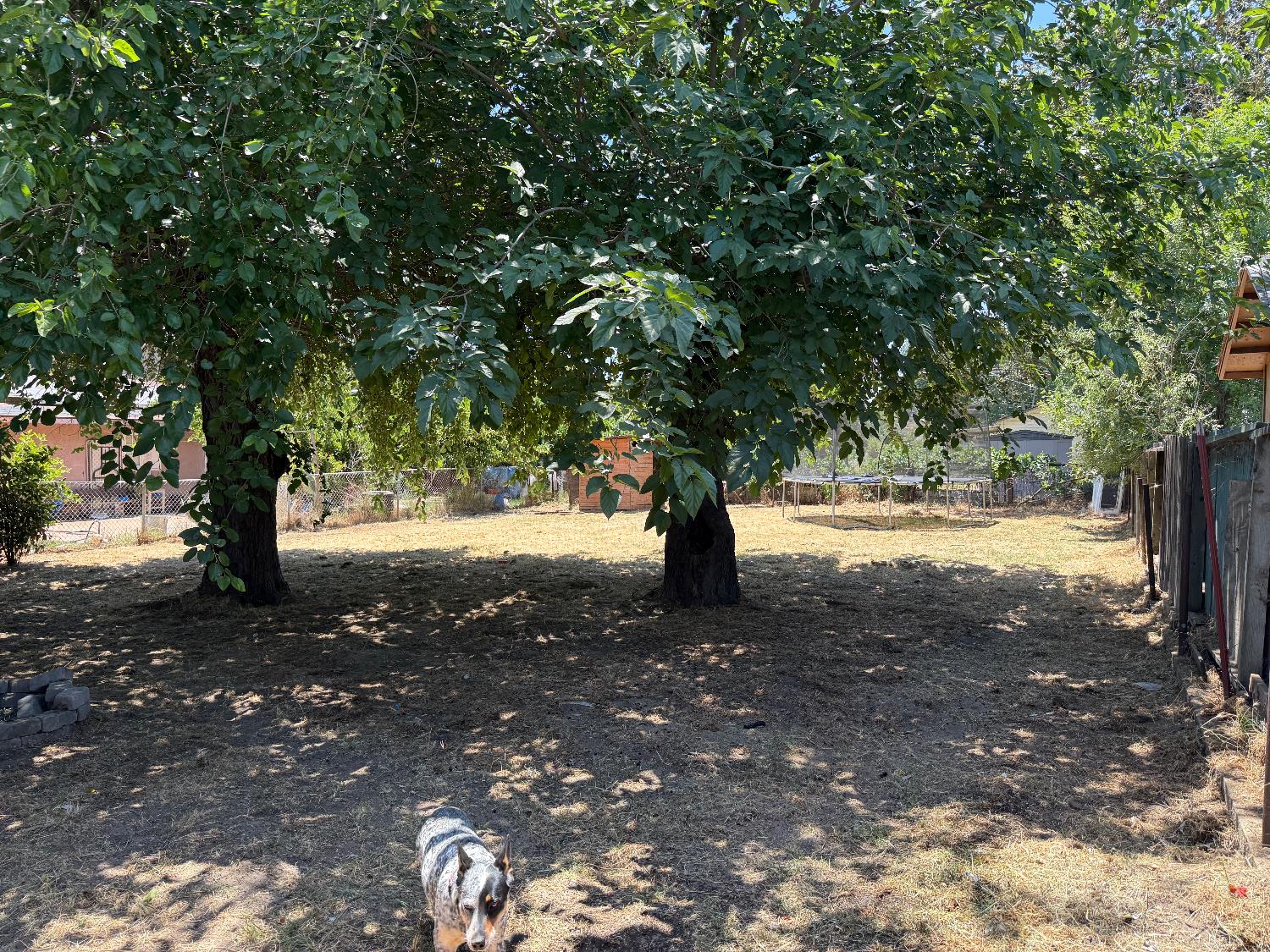 Fir Avenue, Atwater, California image 19