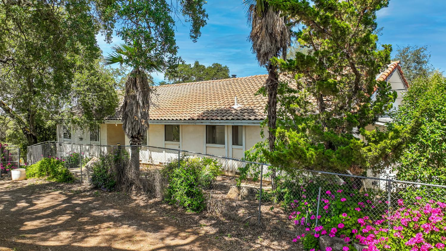 Detail Gallery Image 14 of 93 For 9574 Highway 49, Mokelumne Hill,  CA 95245 - 4 Beds | 2/1 Baths