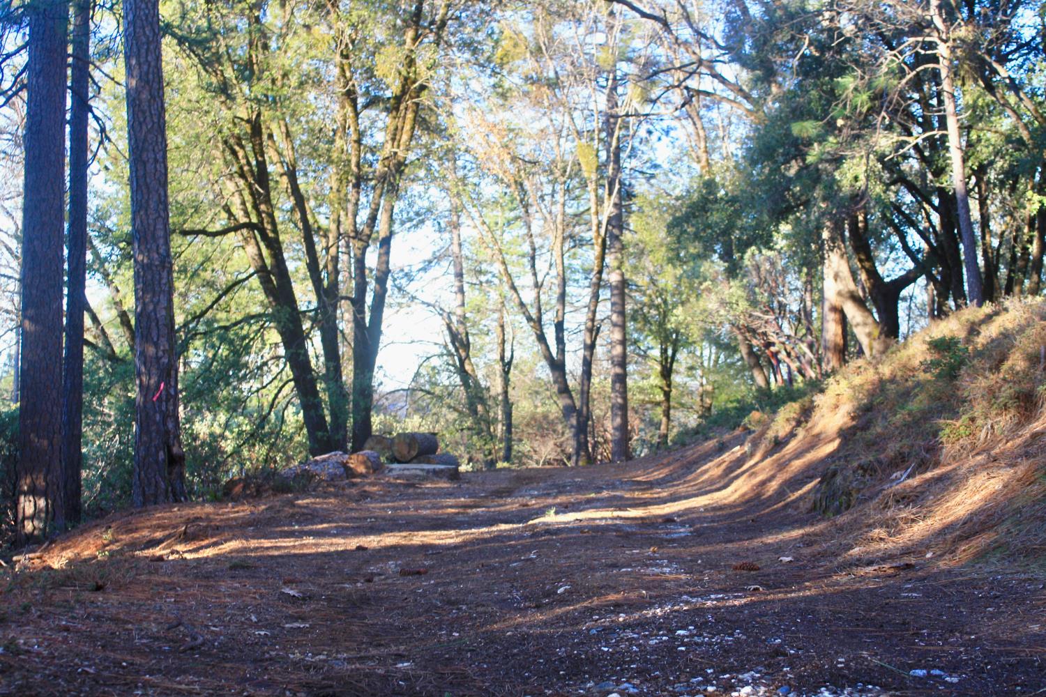 Jones Ridge Road, Grass Valley, California image 12
