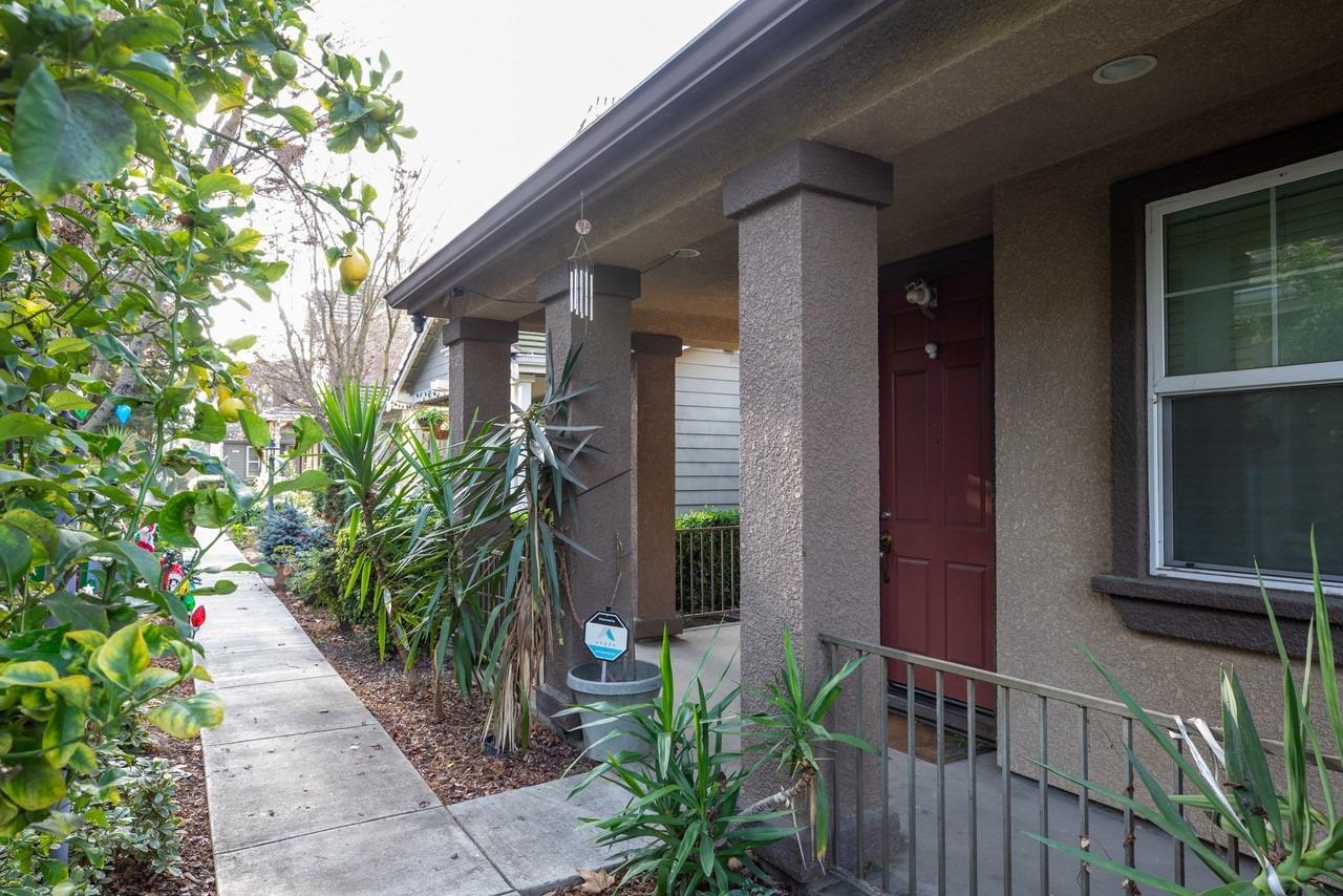Valley Oak Terrace, San Jose, California image 2