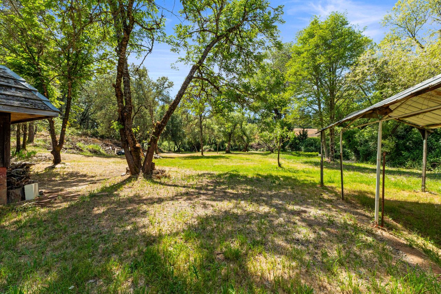 Newtown Road, Nevada City, California image 14