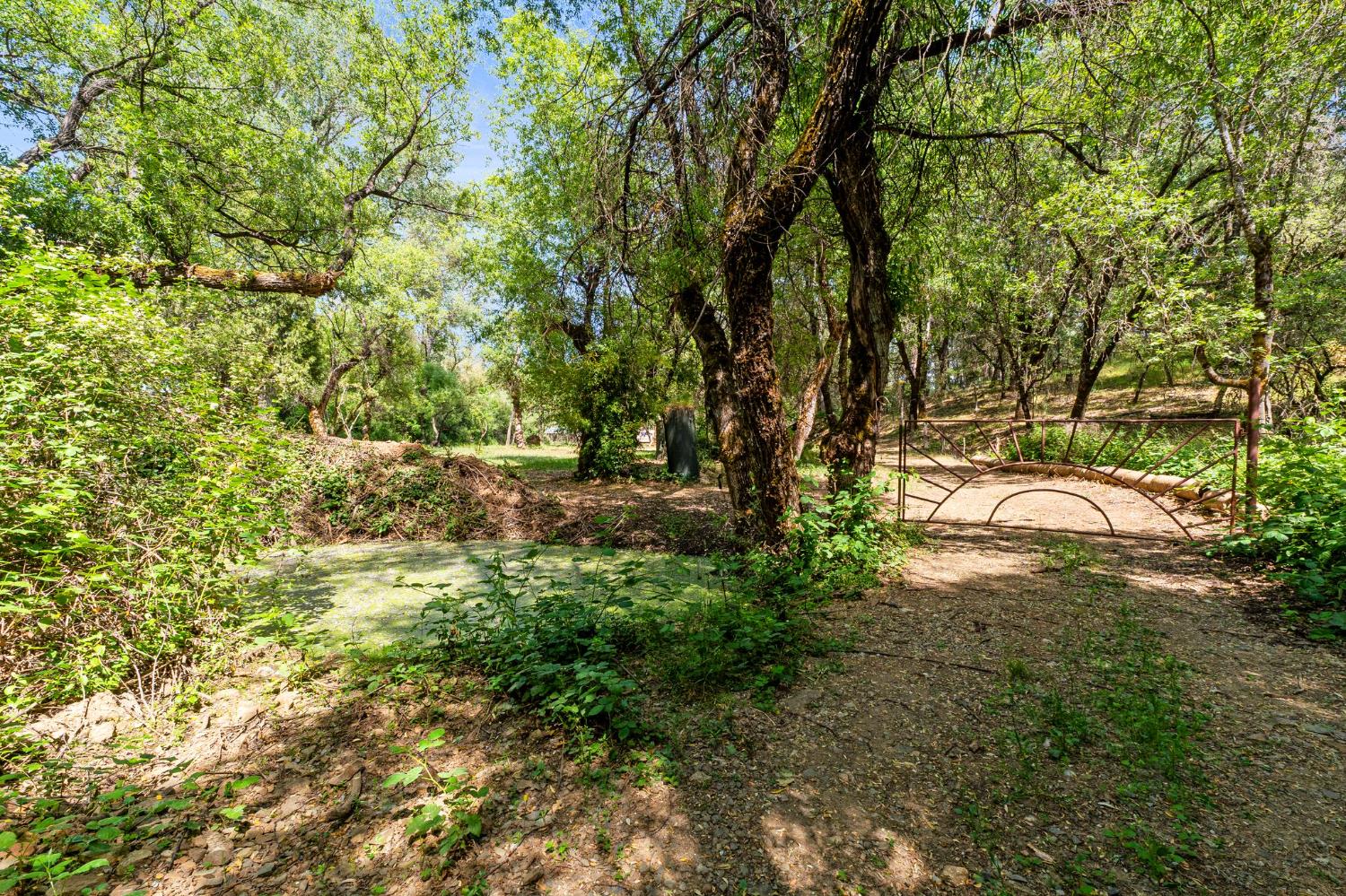 Newtown Road, Nevada City, California image 10