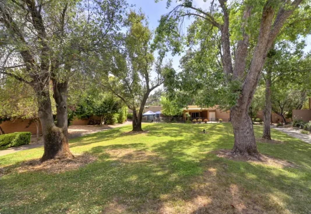 Photo #17: 225071042 Listing: Photo #17