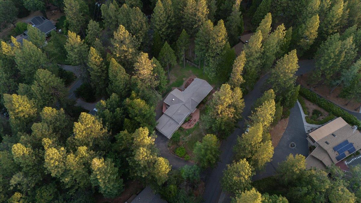 Tree Top Circle, Nevada City, California image 45
