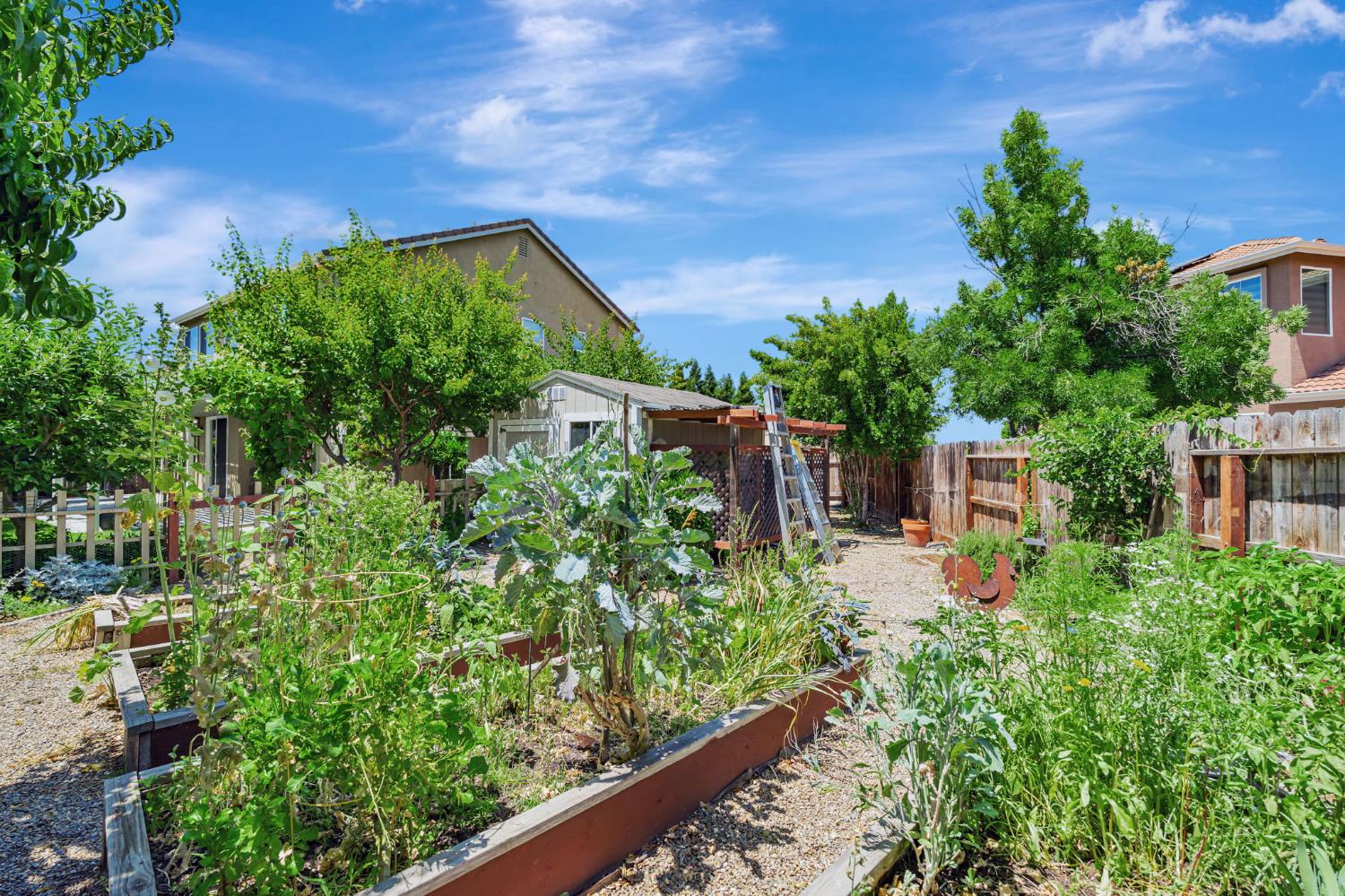 Monte Oro Street, Manteca, California image 43